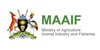 maaif-logo